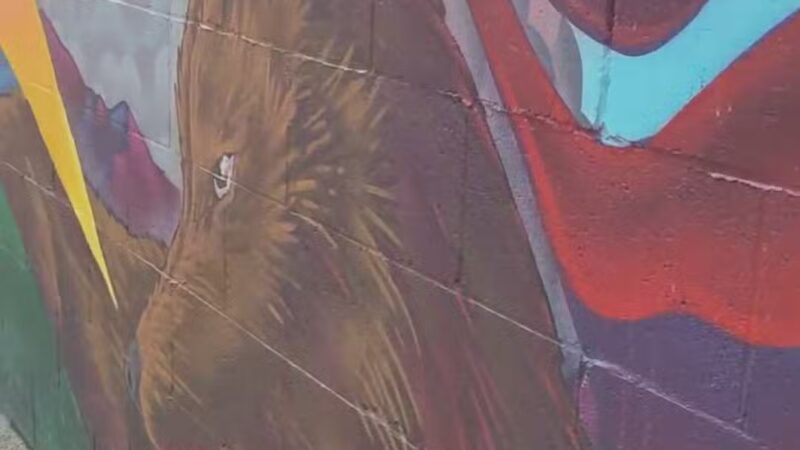 Bel-Air Park - Albuquerque, NM