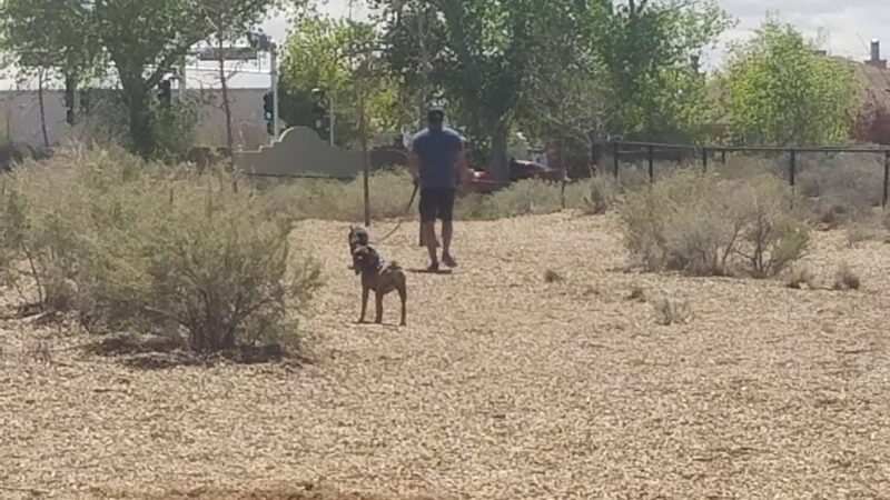 Country Meadows Park - Albuquerque, NM