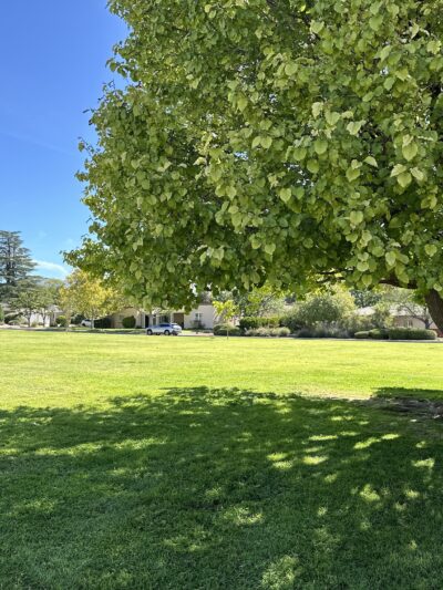 Del Sol Park aka Twin Parks - Albuquerque, NM
