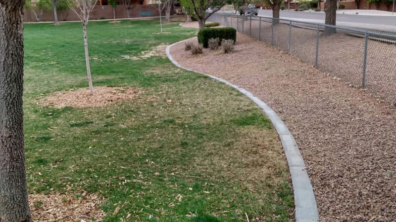Dulcinea Park - Albuquerque, NM