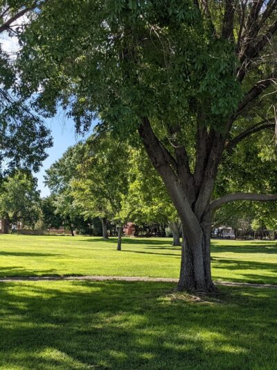 Grecian Park - Albuquerque, NM