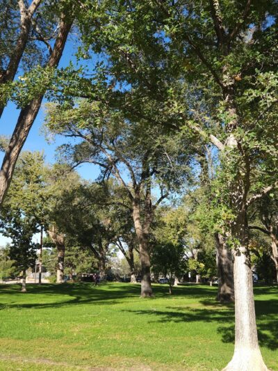 Hyder Park - Albuquerque, NM