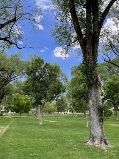 Hyder Park - Albuquerque, NM