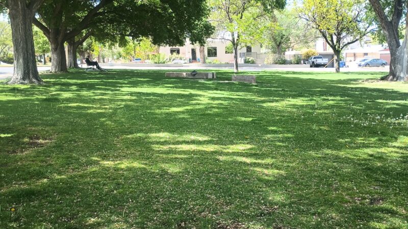 Laurel Circle Park - Albuquerque, NM