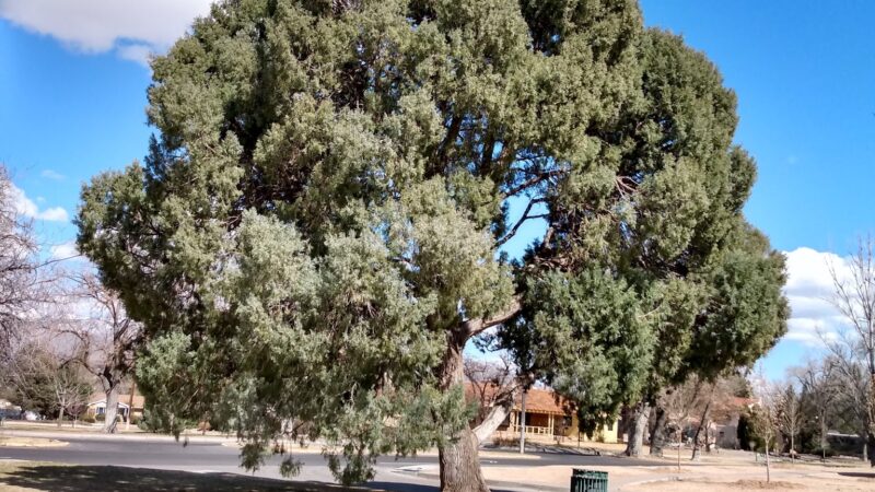 Laurel Circle Park - Albuquerque, NM