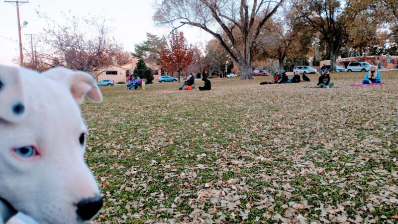 Laurel Circle Park - Albuquerque, NM