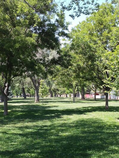 McDuffie Park - Albuquerque, NM