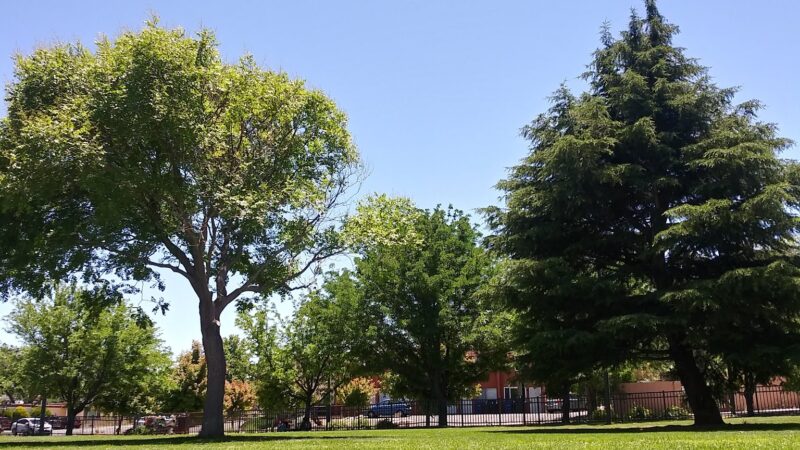 Morningside park - Albuquerque, NM