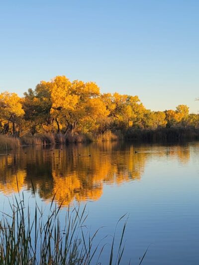 Rio Grande Park - Albuquerque, NM