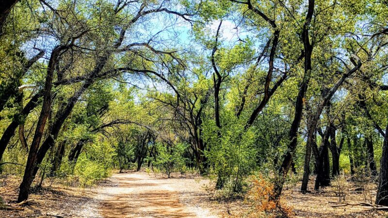 Rio Grande Park - Albuquerque, NM