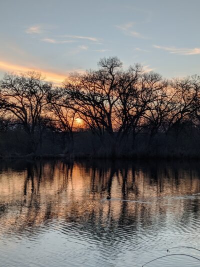 Rio Grande Park - Albuquerque, NM