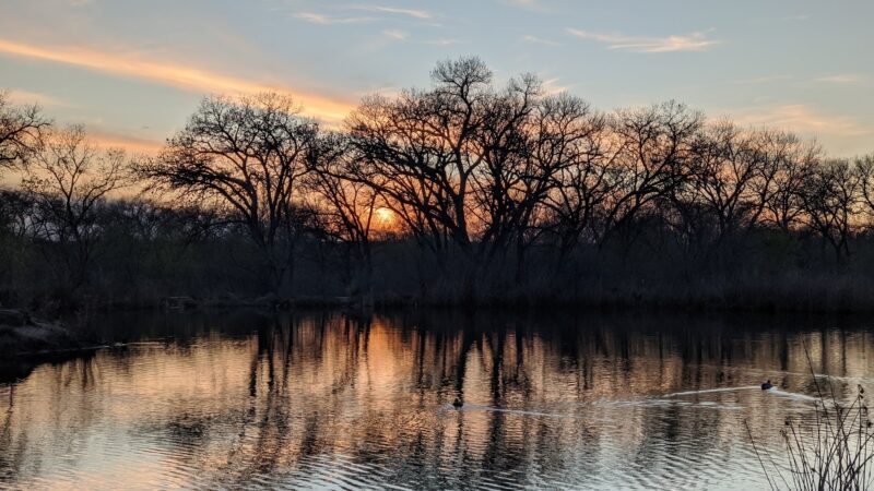 Rio Grande Park - Albuquerque, NM