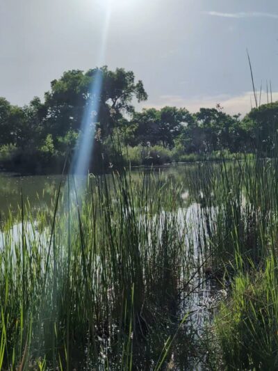 Rio Grande Park - Albuquerque, NM