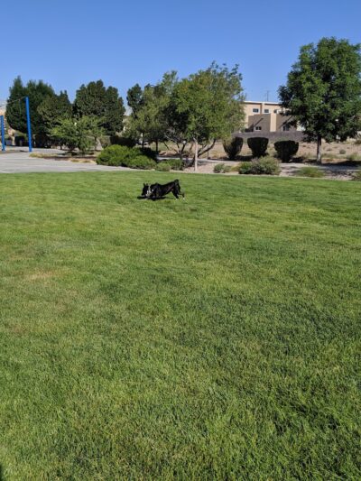 Sawmill Park - Albuquerque, NM