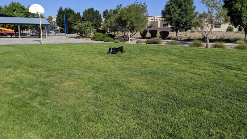 Sawmill Park - Albuquerque, NM