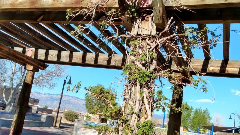Sawmill Park - Albuquerque, NM