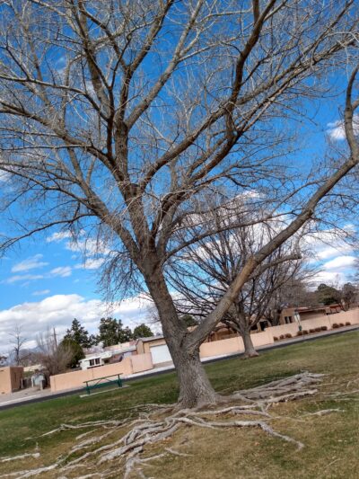 Vail Park - Albuquerque, NM
