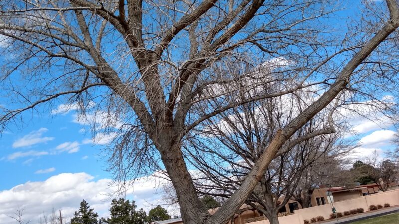 Vail Park - Albuquerque, NM