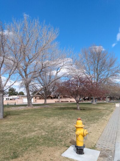 Vail Park - Albuquerque, NM