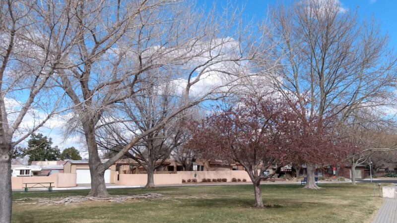 Vail Park - Albuquerque, NM