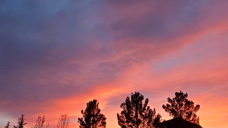 Westgate Community Park - Albuquerque, NM