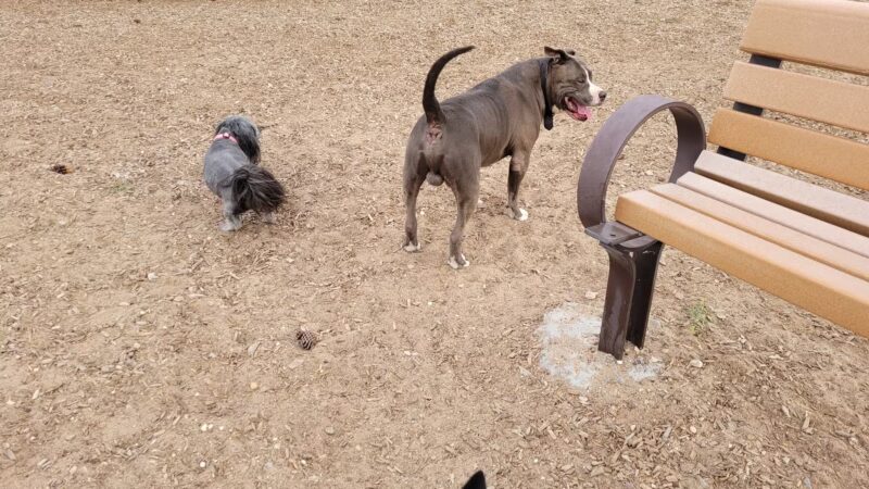 Westgate Community Park - Albuquerque, NM