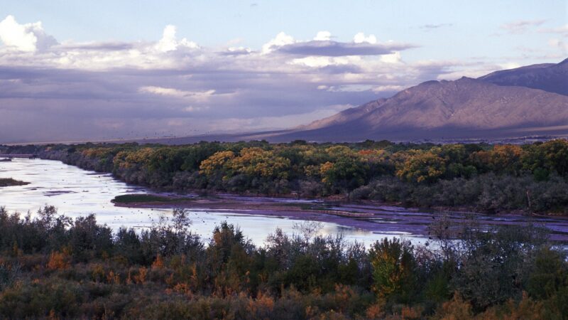Rio Grande River Trail - Albuquerque, NM