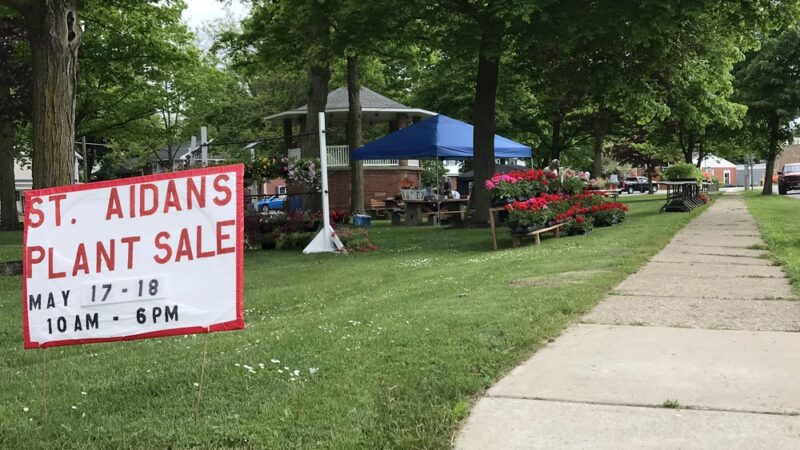 Alden Fireman's Park - Alden, NY