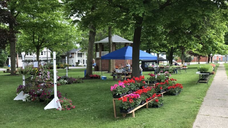 Alden Fireman's Park - Alden, NY
