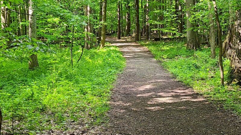 Alden Town Park - Alden, NY
