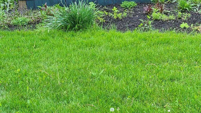 Alden Town Park - Alden, NY