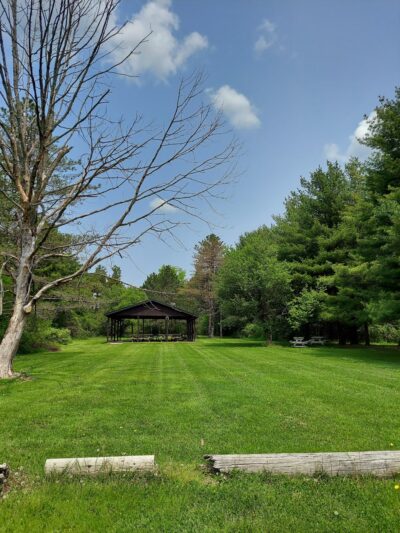 Pine Tree Park - Alden, NY