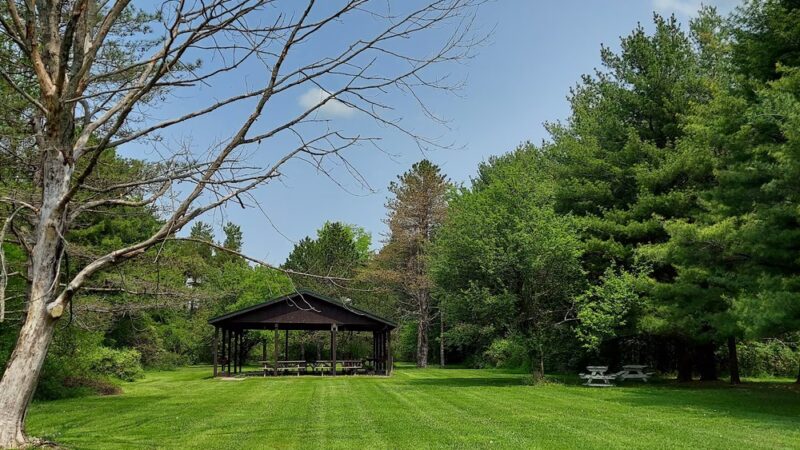 Pine Tree Park - Alden, NY