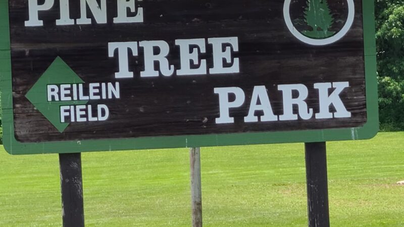 Pine Tree Park - Alden, NY