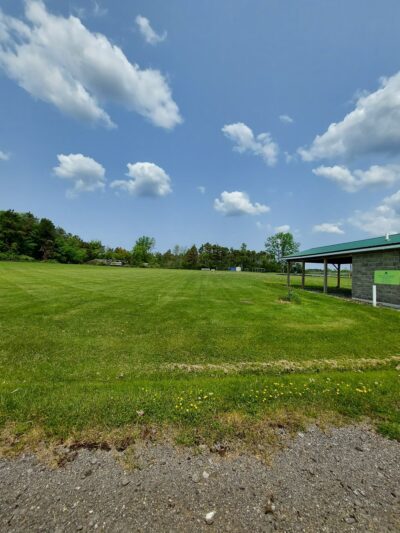 Pine Tree Park - Alden, NY