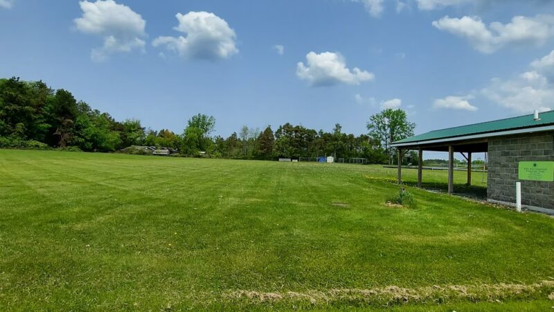 Pine Tree Park - Alden, NY