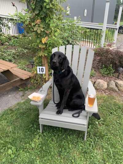 Logical K9 - Alexander, NY