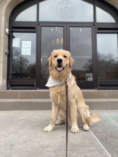 Logical K9 - Alexander, NY