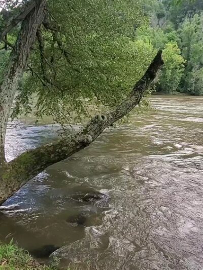 Alexander River Park - Alexander, NC