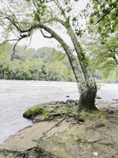 Ledges Whitewater River Park - Alexander, NC