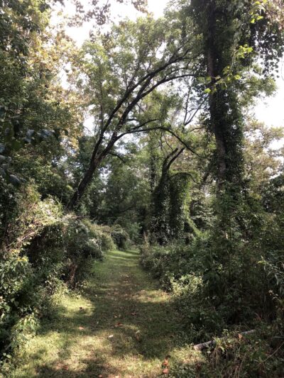Walnut Island River Park - Alexander, NC