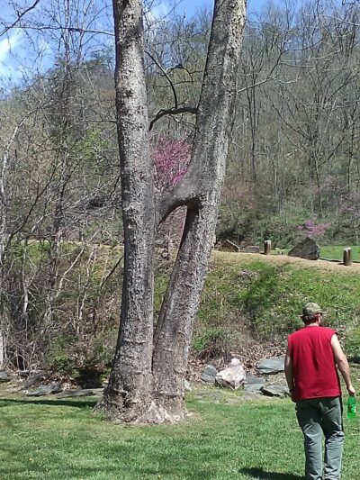Walnut Island River Park - Alexander, NC