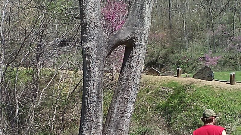 Walnut Island River Park - Alexander, NC