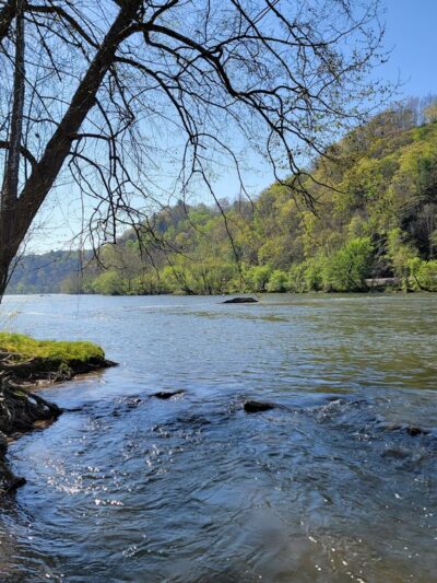 Walnut Island River Park - Alexander, NC