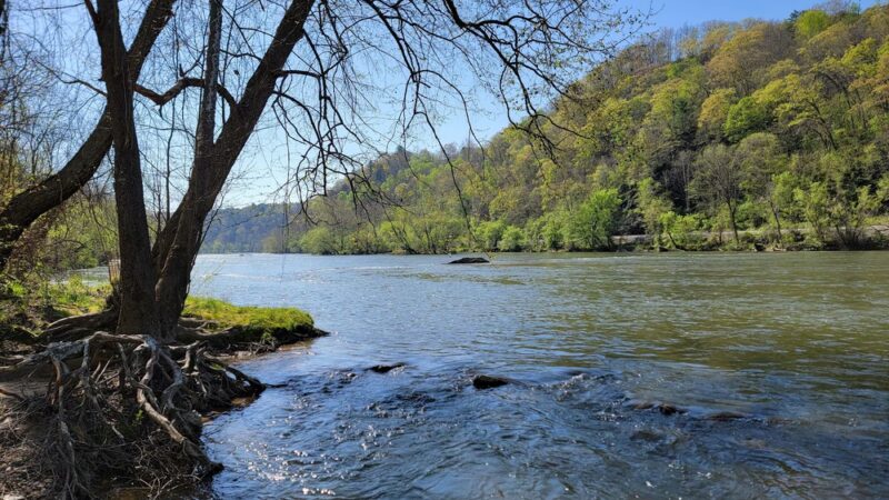 Walnut Island River Park - Alexander, NC