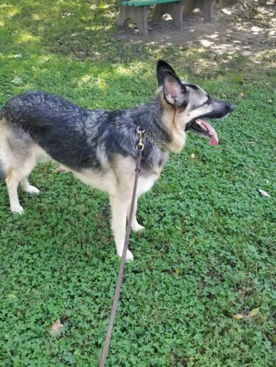 Beulah Park - Alexandria, IN