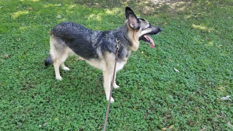 Beulah Park - Alexandria, IN