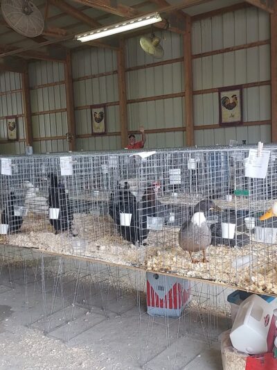 Madison County Fairgrounds - Alexandria, IN