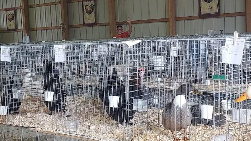 Madison County Fairgrounds - Alexandria, IN