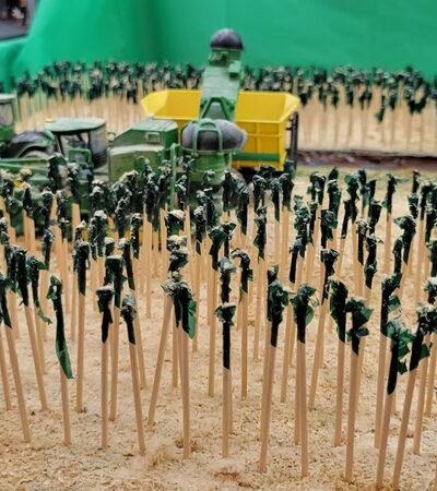 Madison County Fairgrounds - Alexandria, IN